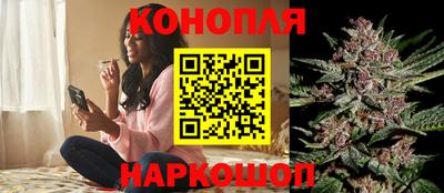спайс Кинель