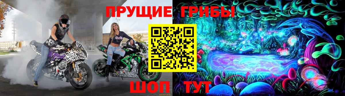 Псилоцибиновые грибы ЛСД Балашов