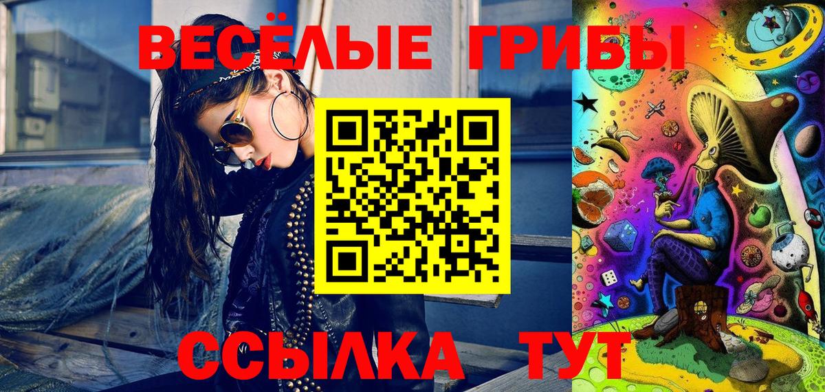 закладка  Псилоцибиновые грибы Psilocybine cubensis  Вход с VPN  Балашов 